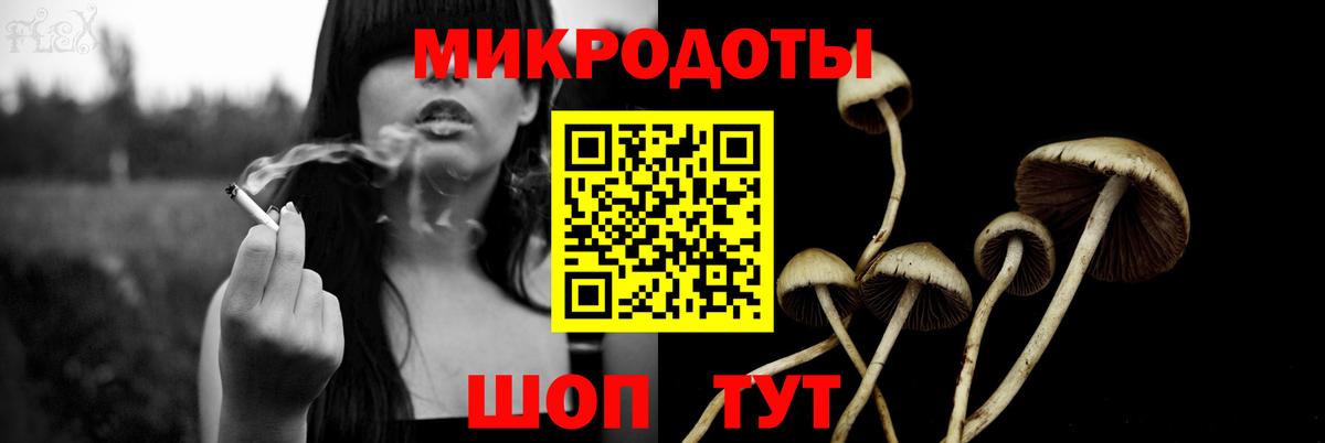 Псилоцибиновые грибы Psilocybine cubensis  Галлюциногенные грибы мухоморы  Вход с VPN  Троицк 